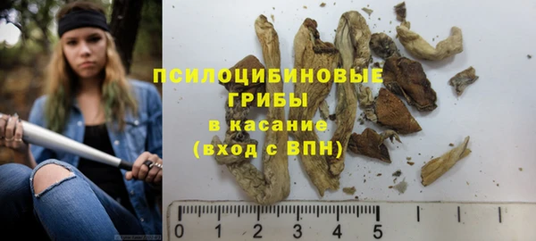 шишки Волосово
