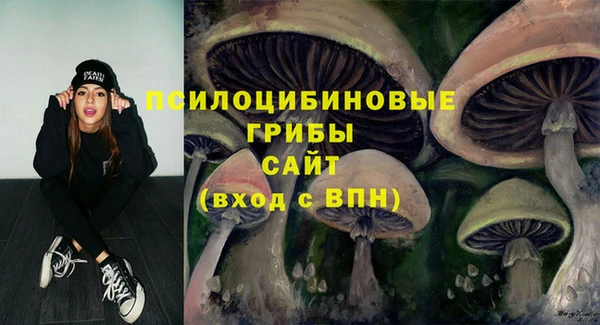 шишки Волосово