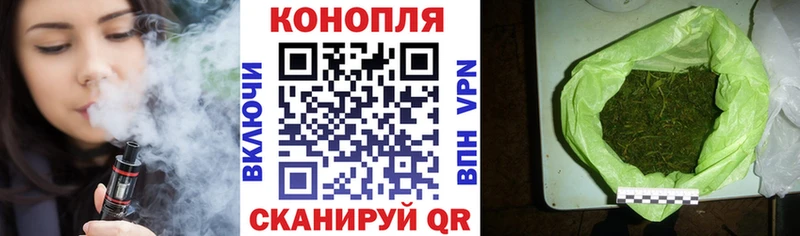 Купить где  Гвардейск  МАРИХУАНА планчик 